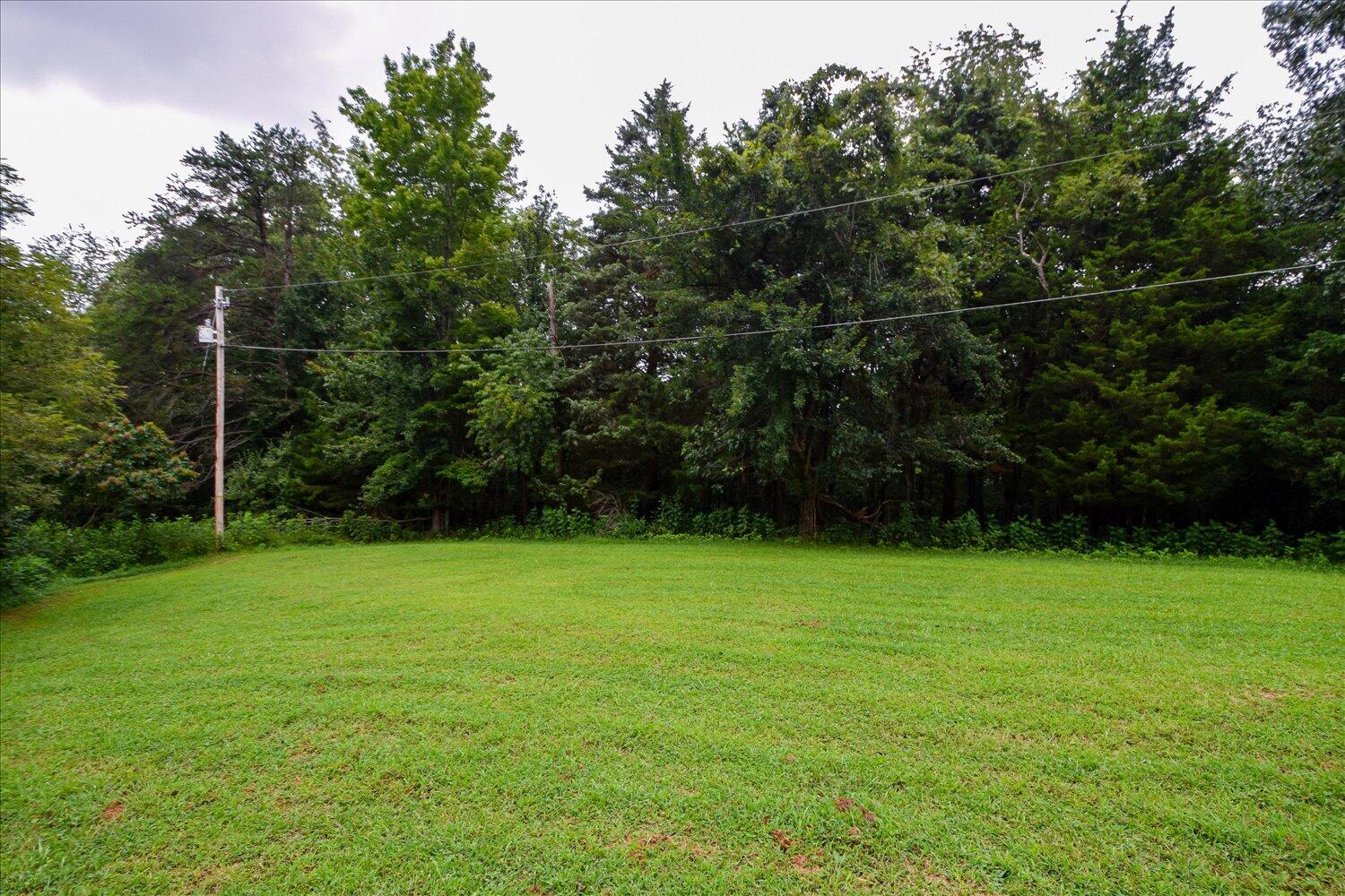 1316 Dudley Road Moneta, VA 24121 - Photo 36 of 37 a view of a field with a trees in the background