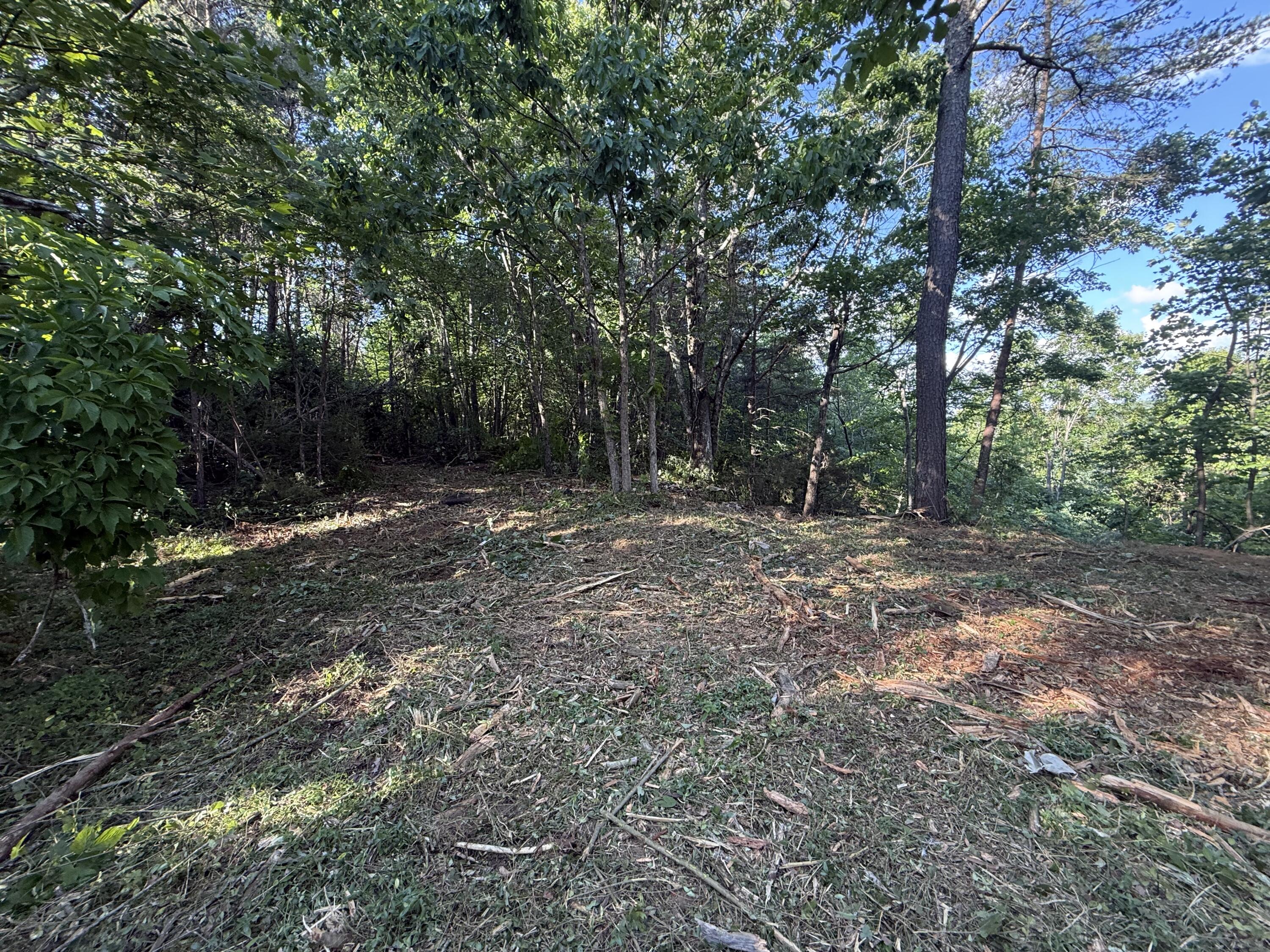 214 Middle Ridge Road Beersheba Springs, TN 37305 - Photo 12 of 19 IMG_6461
