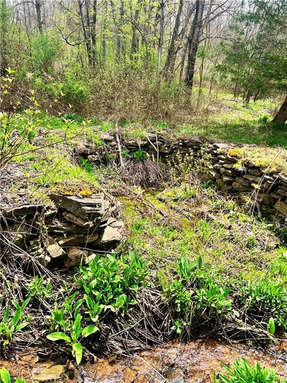 Sisson Hill Road Unadilla, NY 13849 - Photo 8 of 13 Gallery Image 8