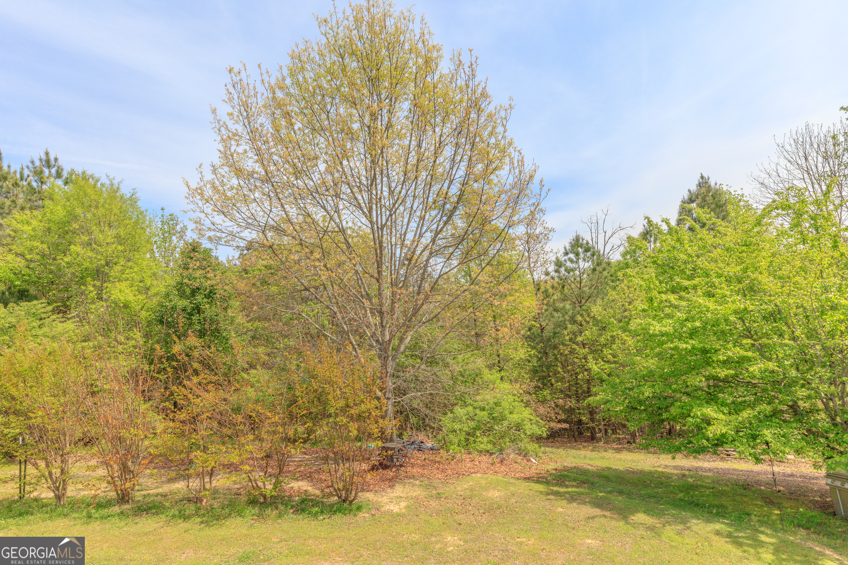 765 Greenbush Road LaFayette, GA 30728 - Photo 53 of 68