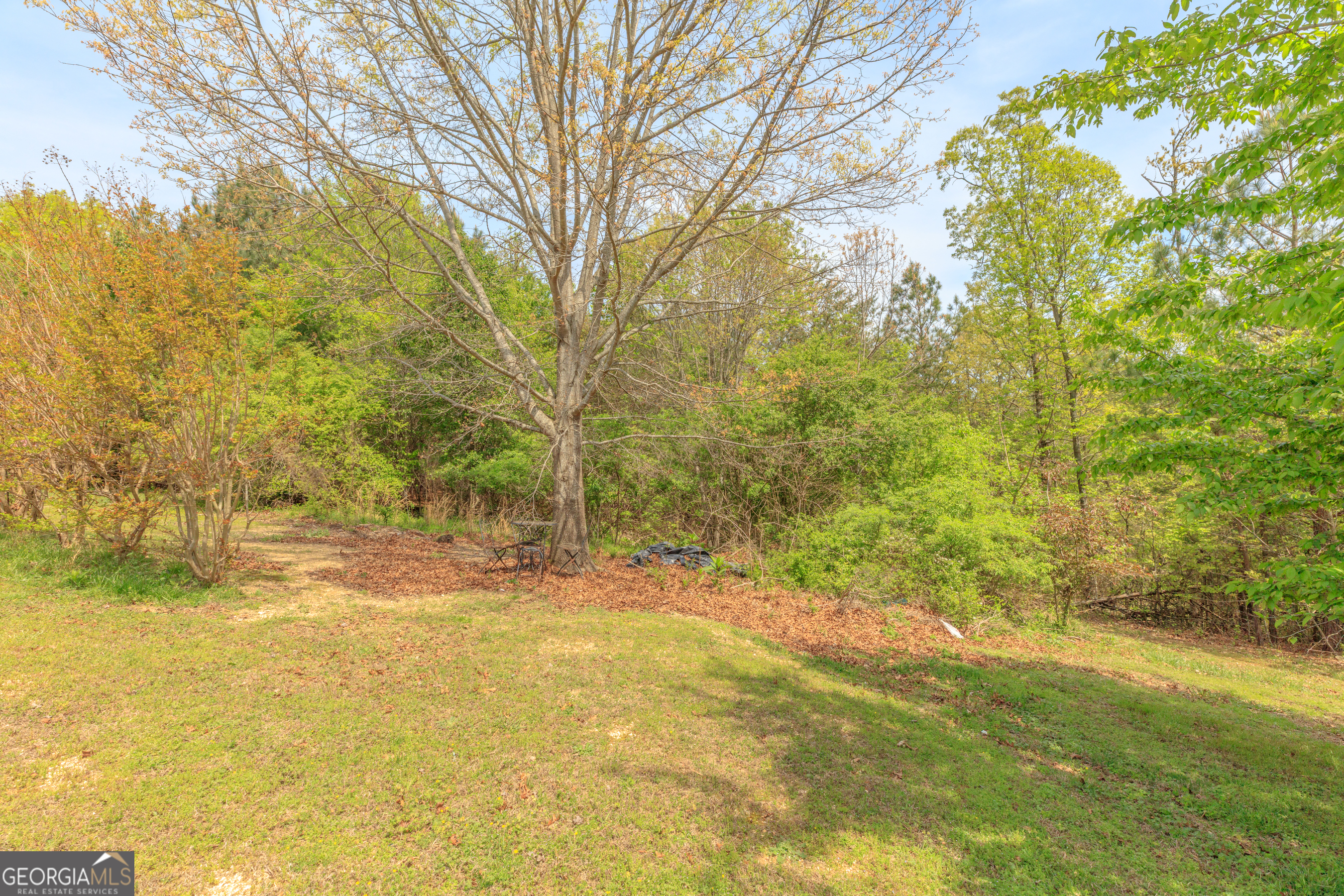 765 Greenbush Road LaFayette, GA 30728 - Photo 63 of 68 a view of a yard with large trees