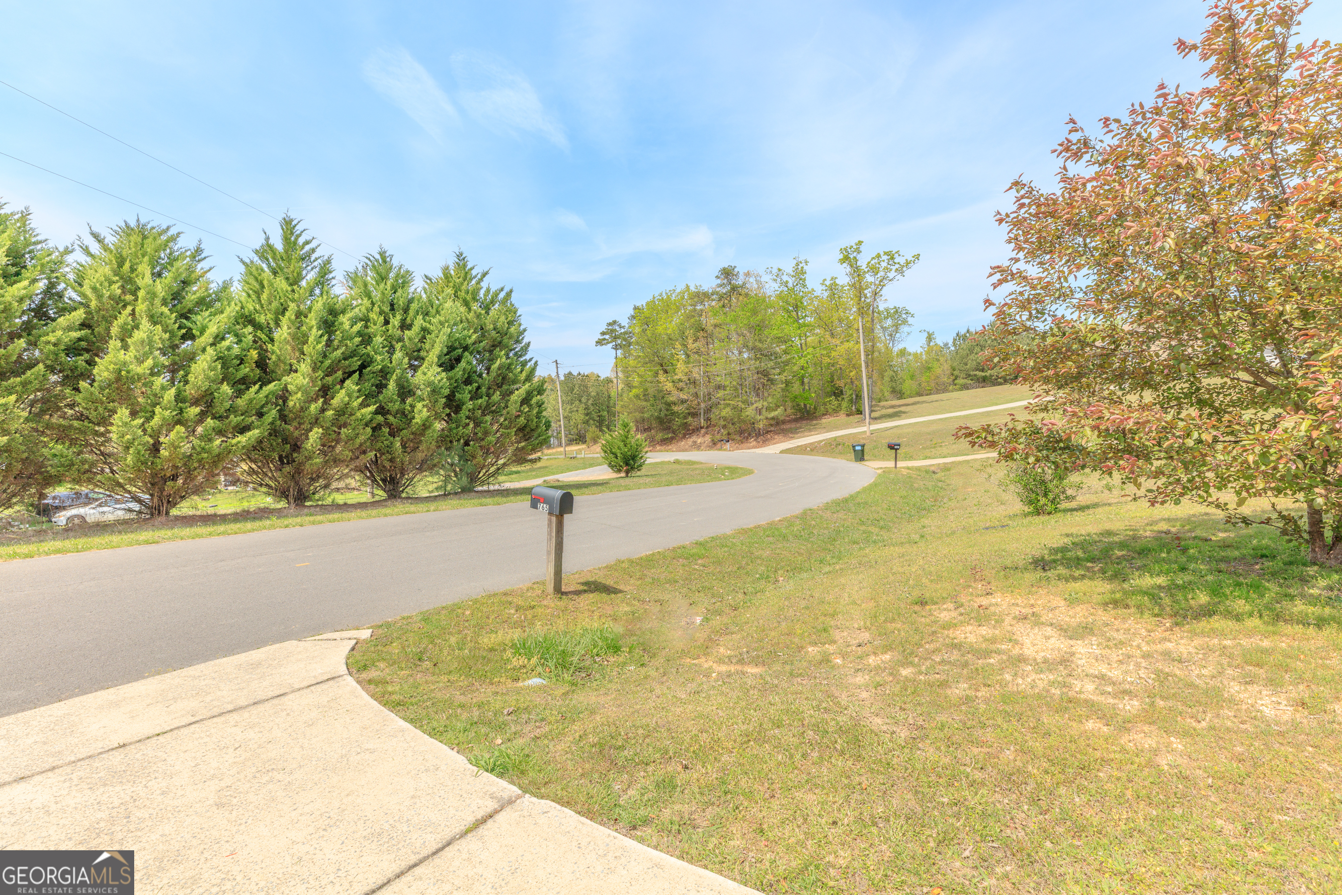 765 Greenbush Road LaFayette, GA 30728 - Photo 68 of 68 a swimming pool with trees in the background