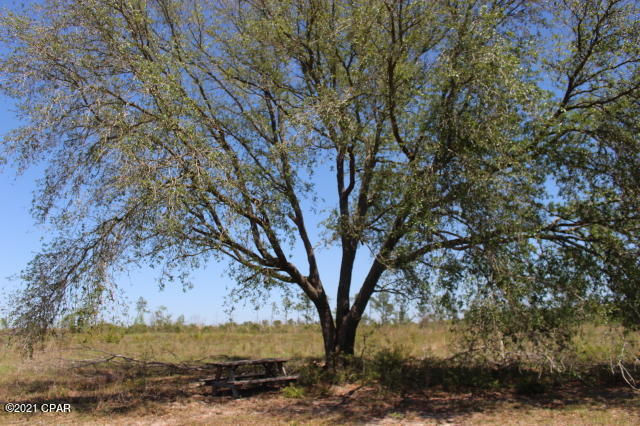 13126 County Line Road Fountain, FL 32438 - Photo 28 of 45 Gallery Image 28