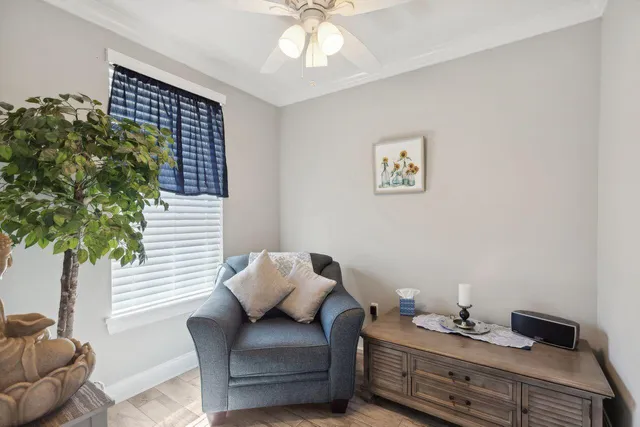 a living room with furniture and a potted plant