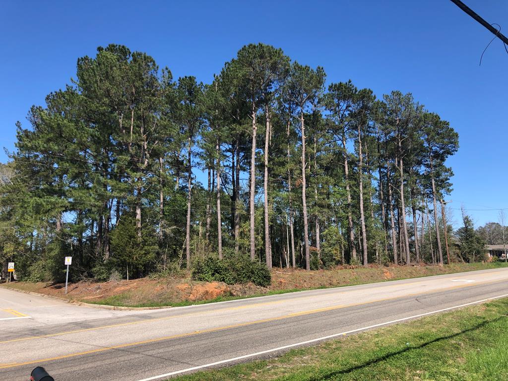 4460 Flowers Chapel Road Dothan, AL 36305 - Photo 1 of 1