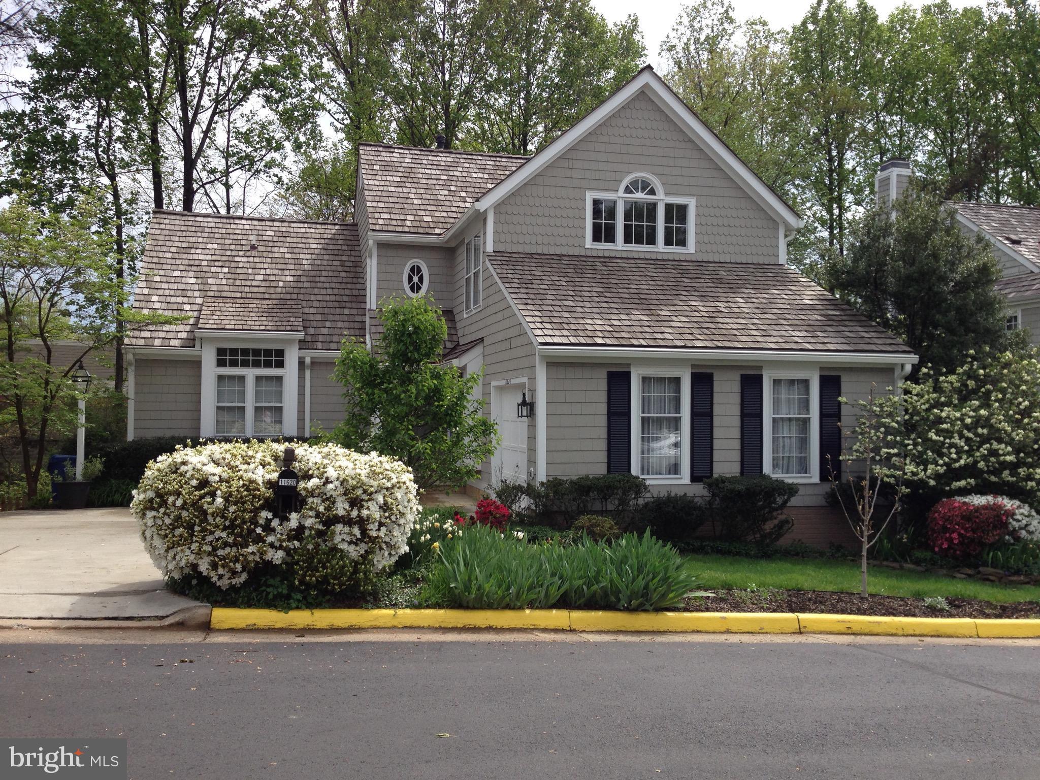 springtime = bulbs, azaleas, dogwood