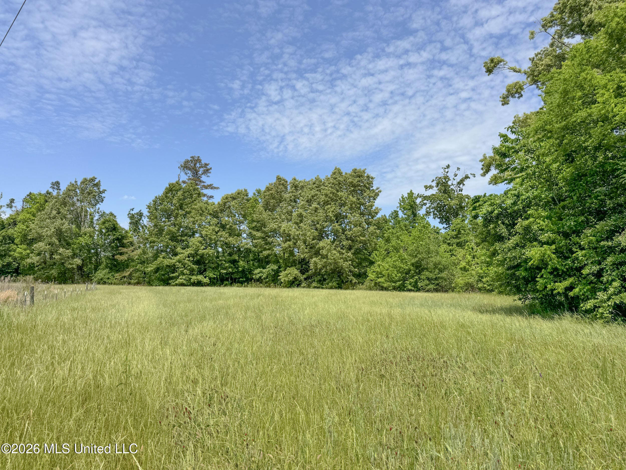 Chinqupin Road Lexington, MS 39095 - Photo 189 of 210 8chqpn58