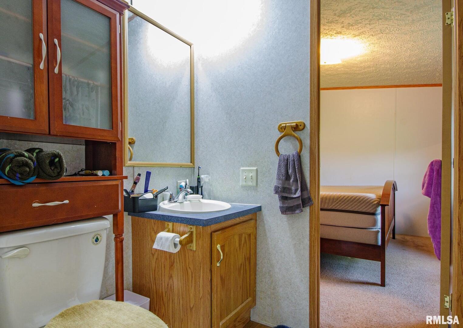 16807 East Kendall Road Mount Vernon, IL 62864 - Photo 17 of 28 a bathroom with a sink vanity and a mirror