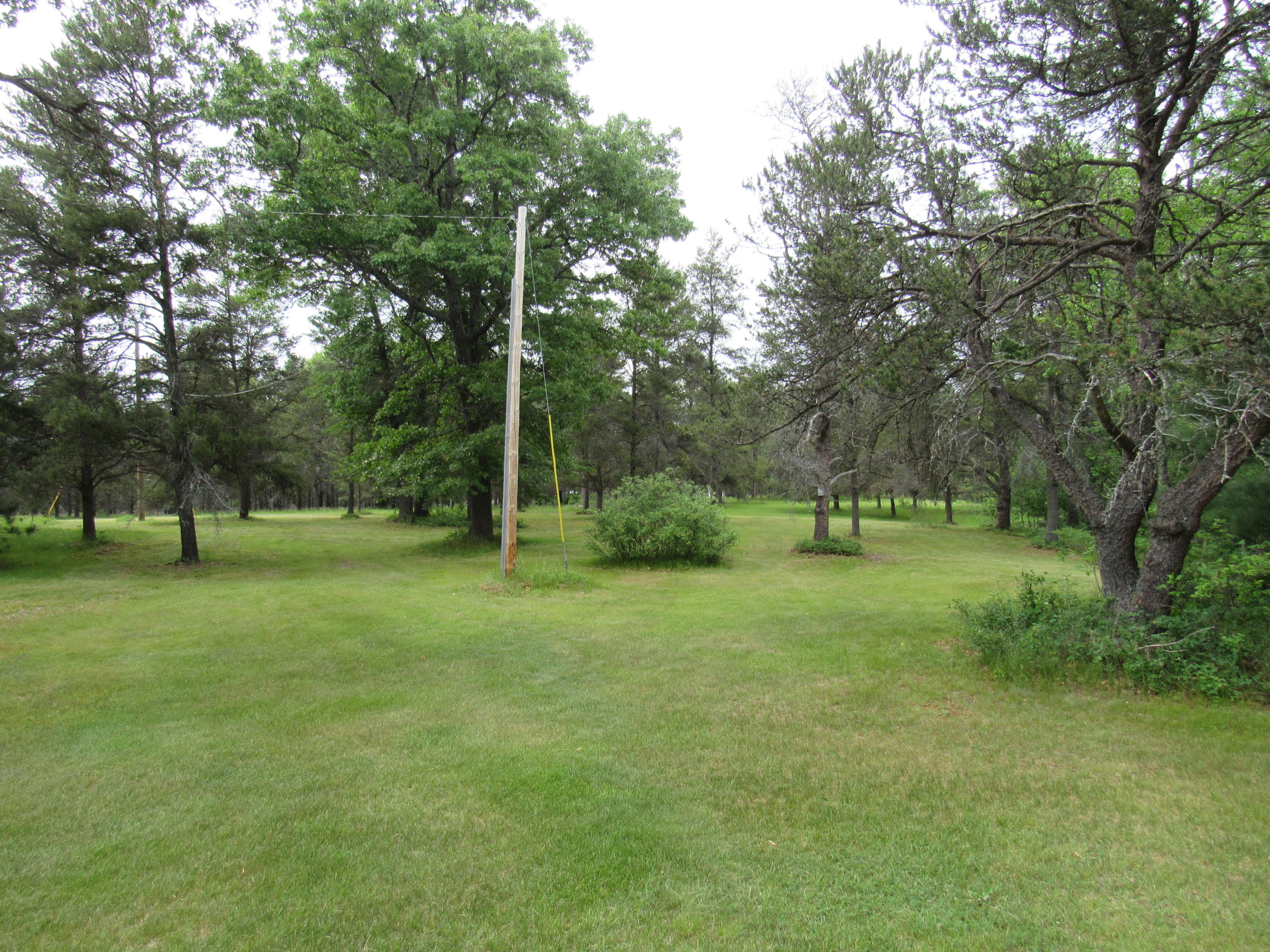 Walsh Road Lewiston, MI 49756 - Photo 9 of 11 Gallery Image 9
