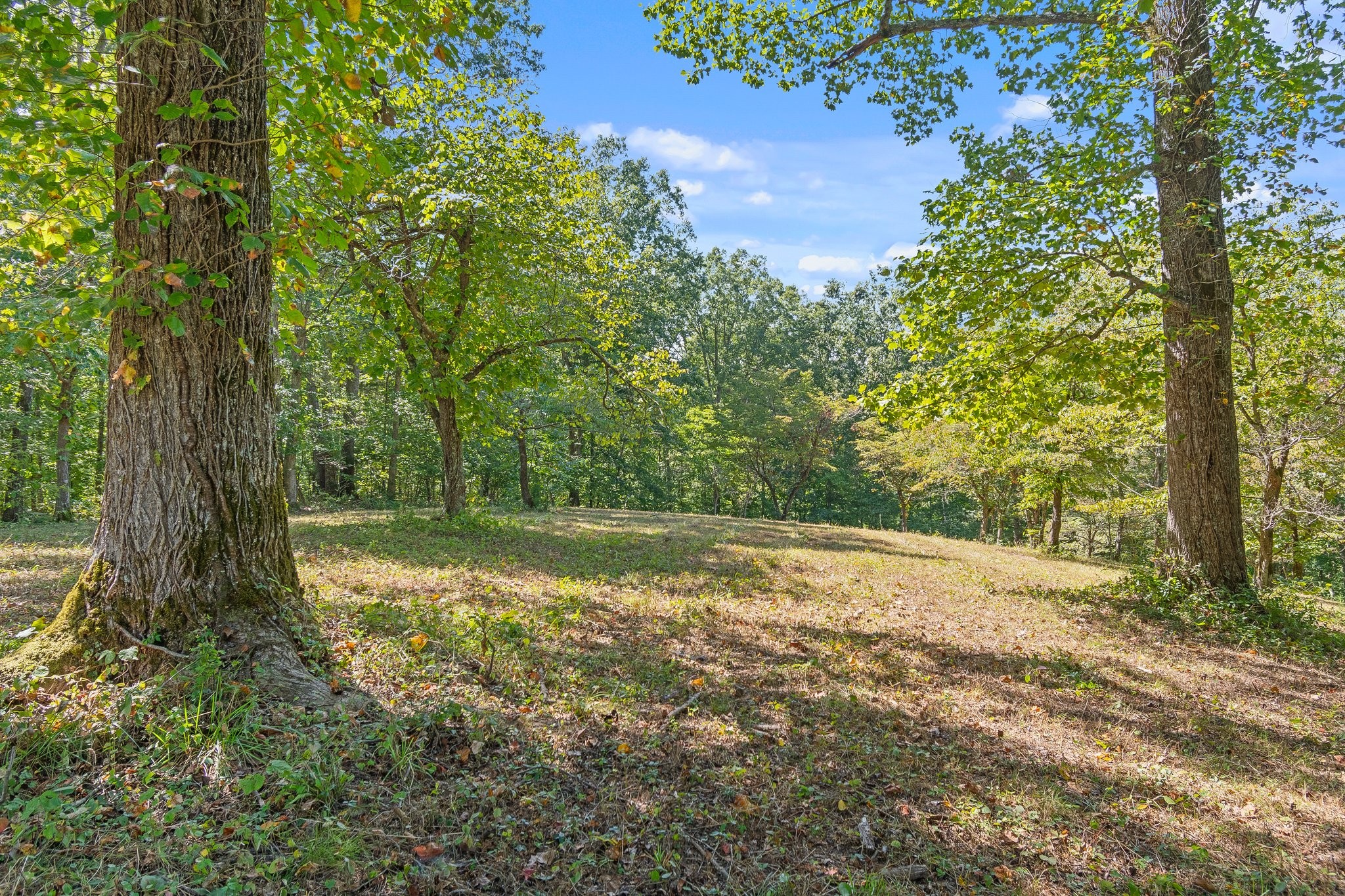 1875 Grays Bend Road Centerville, TN 37033 - Photo 29 of 33 a view of a yard with mountain