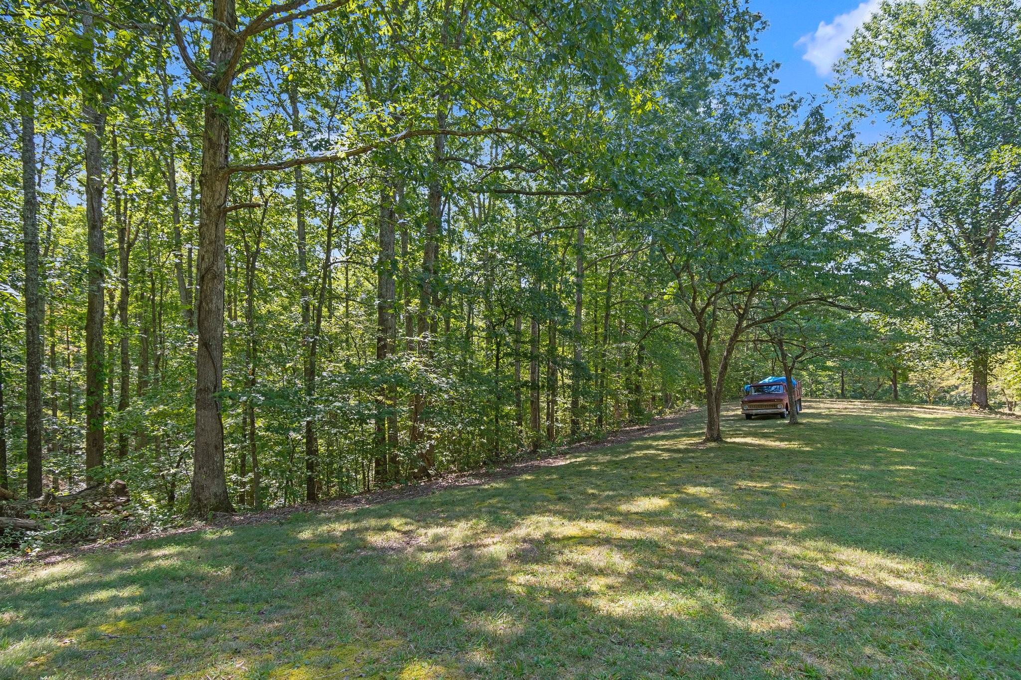 1875 Grays Bend Road Centerville, TN 37033 - Photo 33 of 33 a view of a tree in a yard