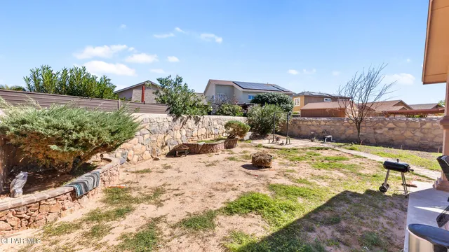 a view of a backyard with plants and palm tree