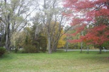 5457 West Rasmussen Road Ludington, MI 49431 - Photo 6 of 6 Additional Photo