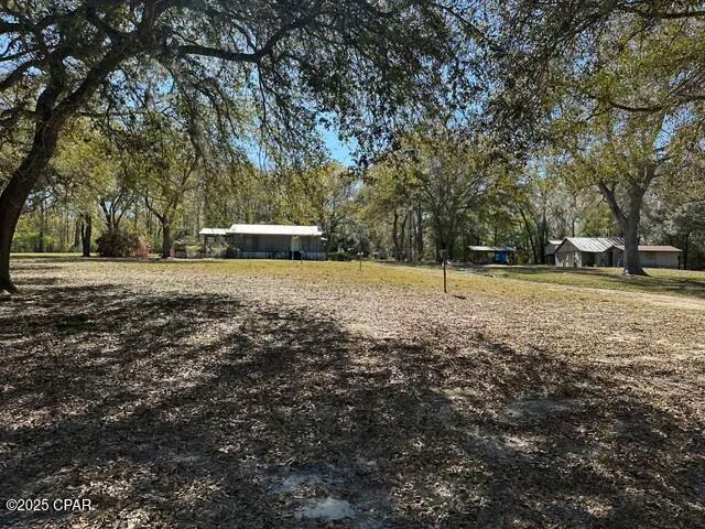 3511 Pipkin Road Bonifay, FL 32425 - Photo 6 of 46 Gallery Image 6