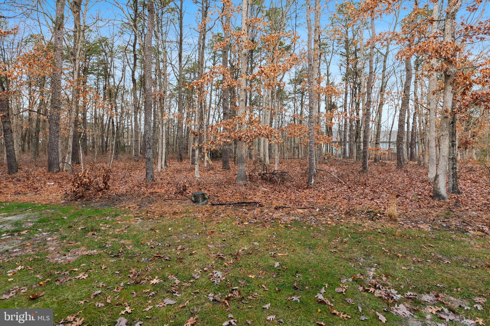75 Club Place Absecon, NJ 08205 - Photo 22 of 22 Backs to Forrest