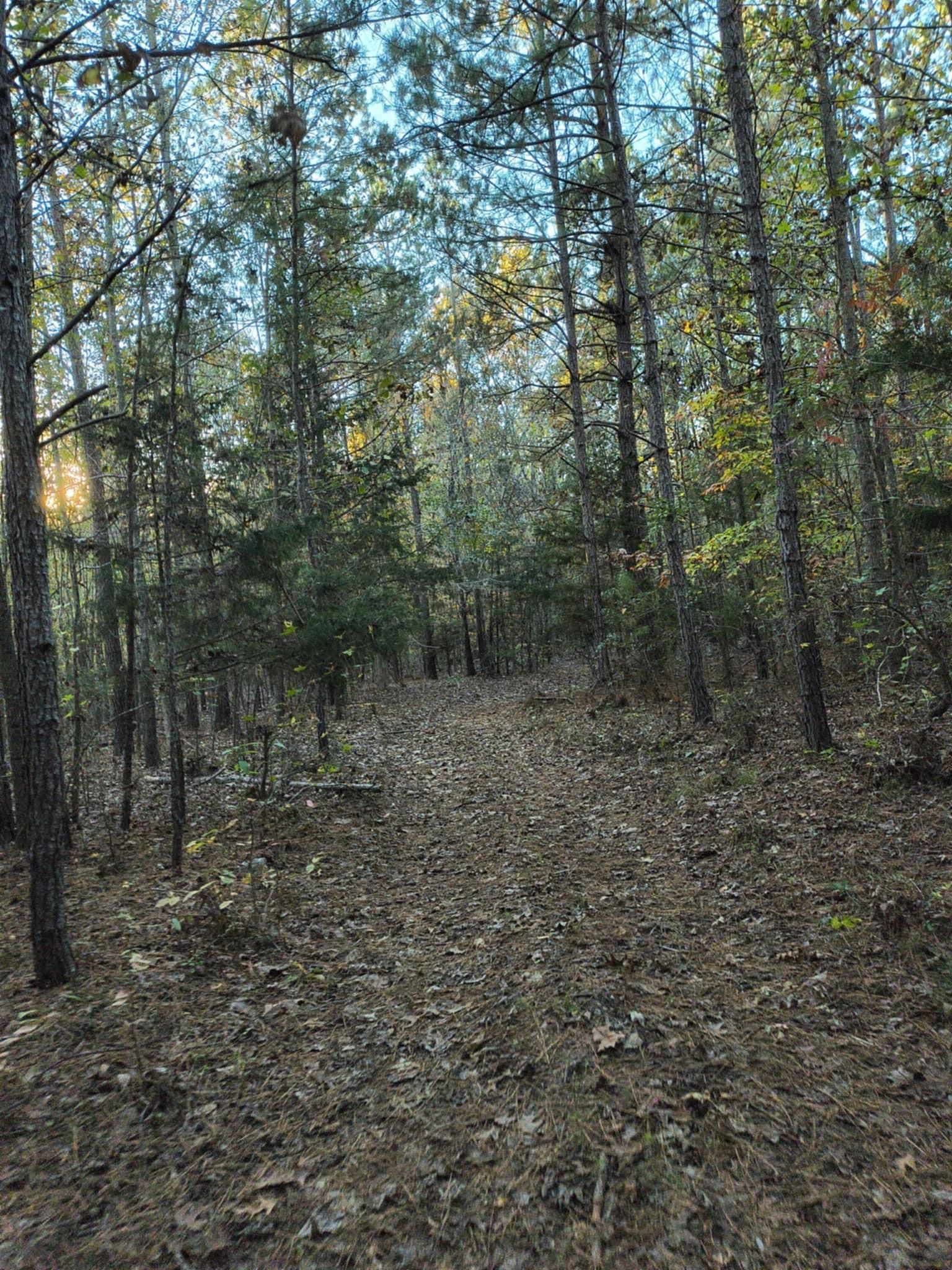 Tbd (414 Tbd (414 Prospect Corner Rd Union Union, SC 29379 - Photo 23 of 41 Gallery Image 23