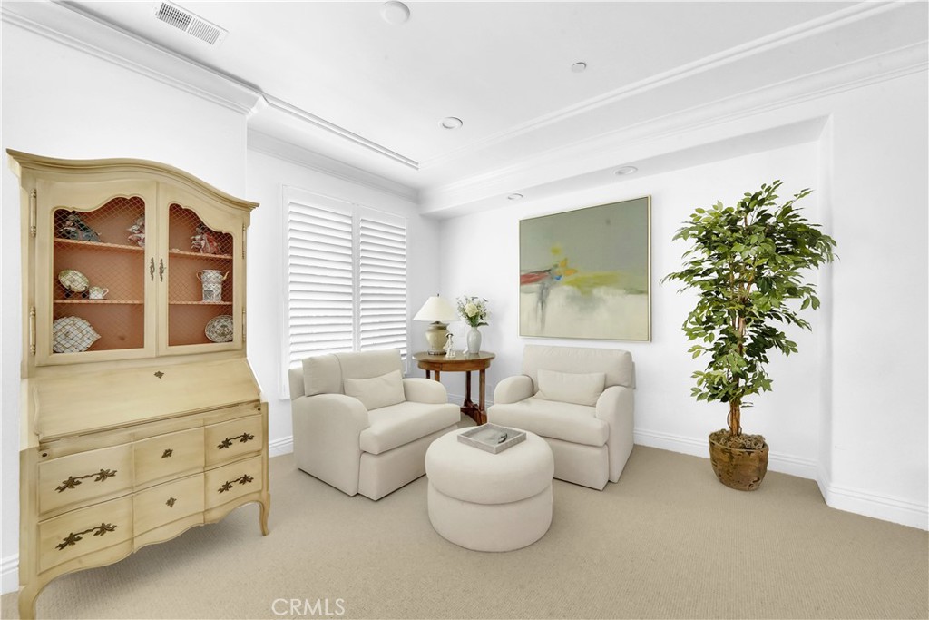 11 Hidden Pass Newport Coast, CA 92657 - Photo 44 of 59 a living room with furniture potted plant and a window