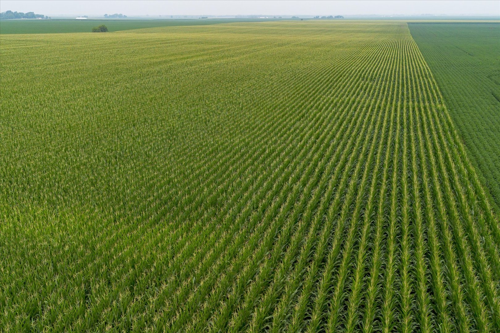 State Route 17th Varna, IL 61375 - Photo 3 of 13