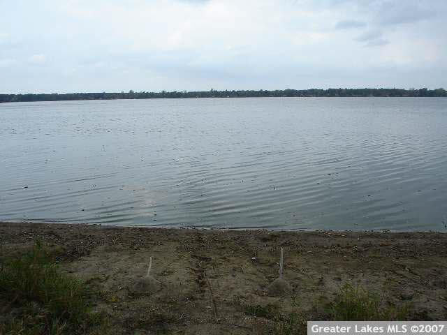 5327 Crow Wing Lake Road Fort Ripley, MN 56449 - Photo 9 of 9 Gallery Image 9