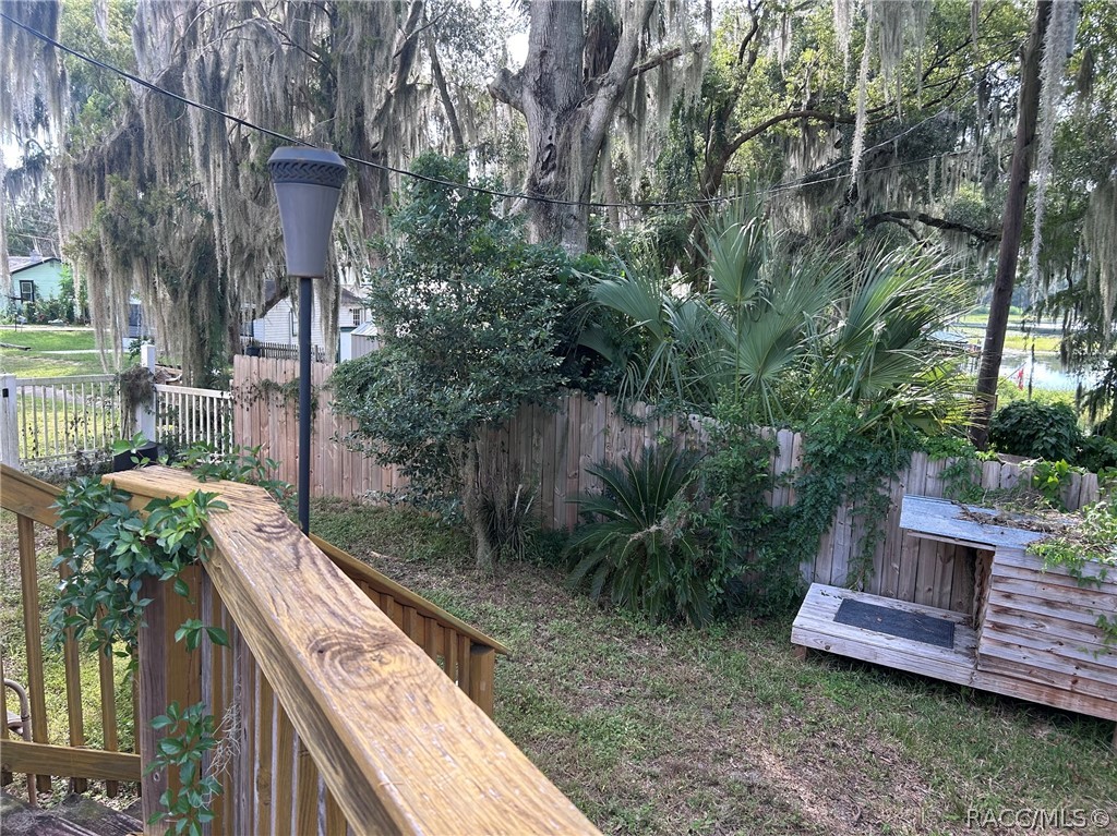 414 Lake Street Inverness, FL 34450 - Photo 30 of 35 Dog Run