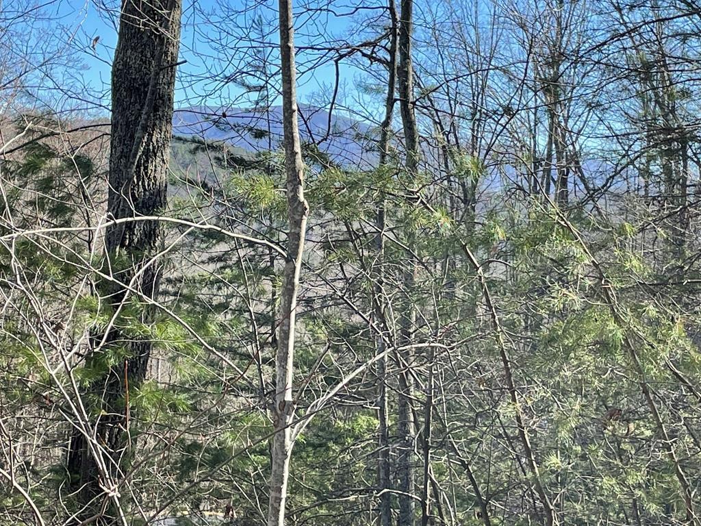 11 Whetstone Road Sevierville, TN 37862 - Photo 1 of 3
