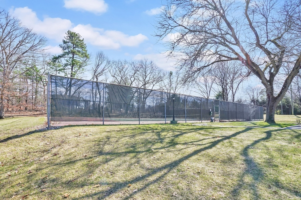 80 Yorktown Drive, Unit 80 Springfield, MA 01108 - Photo 19 of 24 a view of a yard with trees