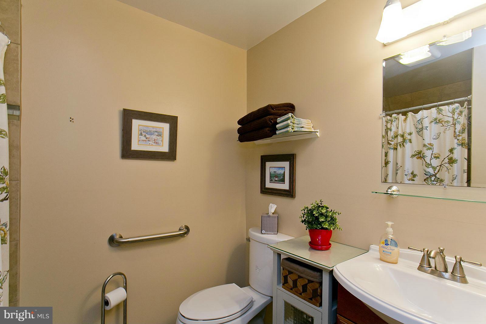 1236 North Timber Ridge Road Cross Junction, VA 22625 - Photo 18 of 30 Bath