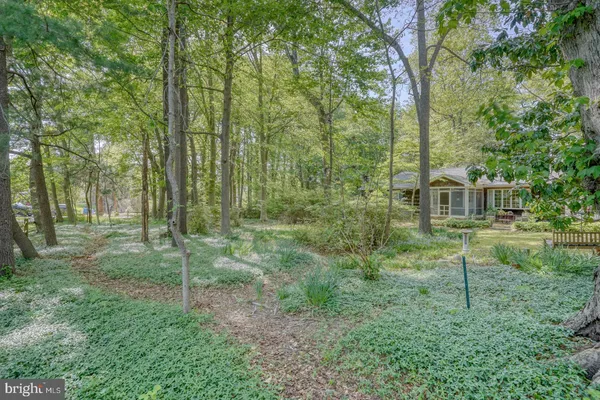 a living room with furniture a fireplace and a floor to ceiling window
