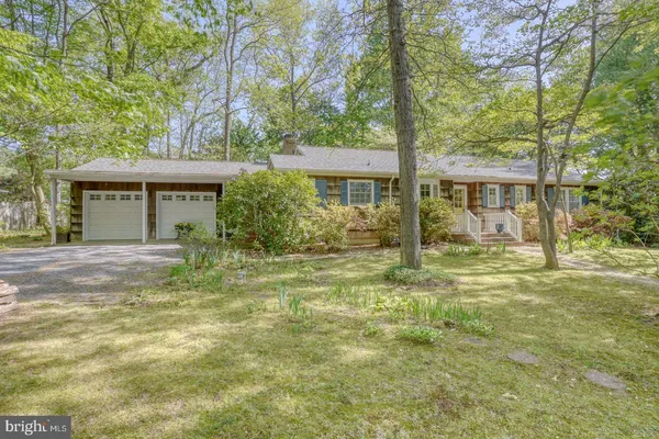 a view of a garden with a bench