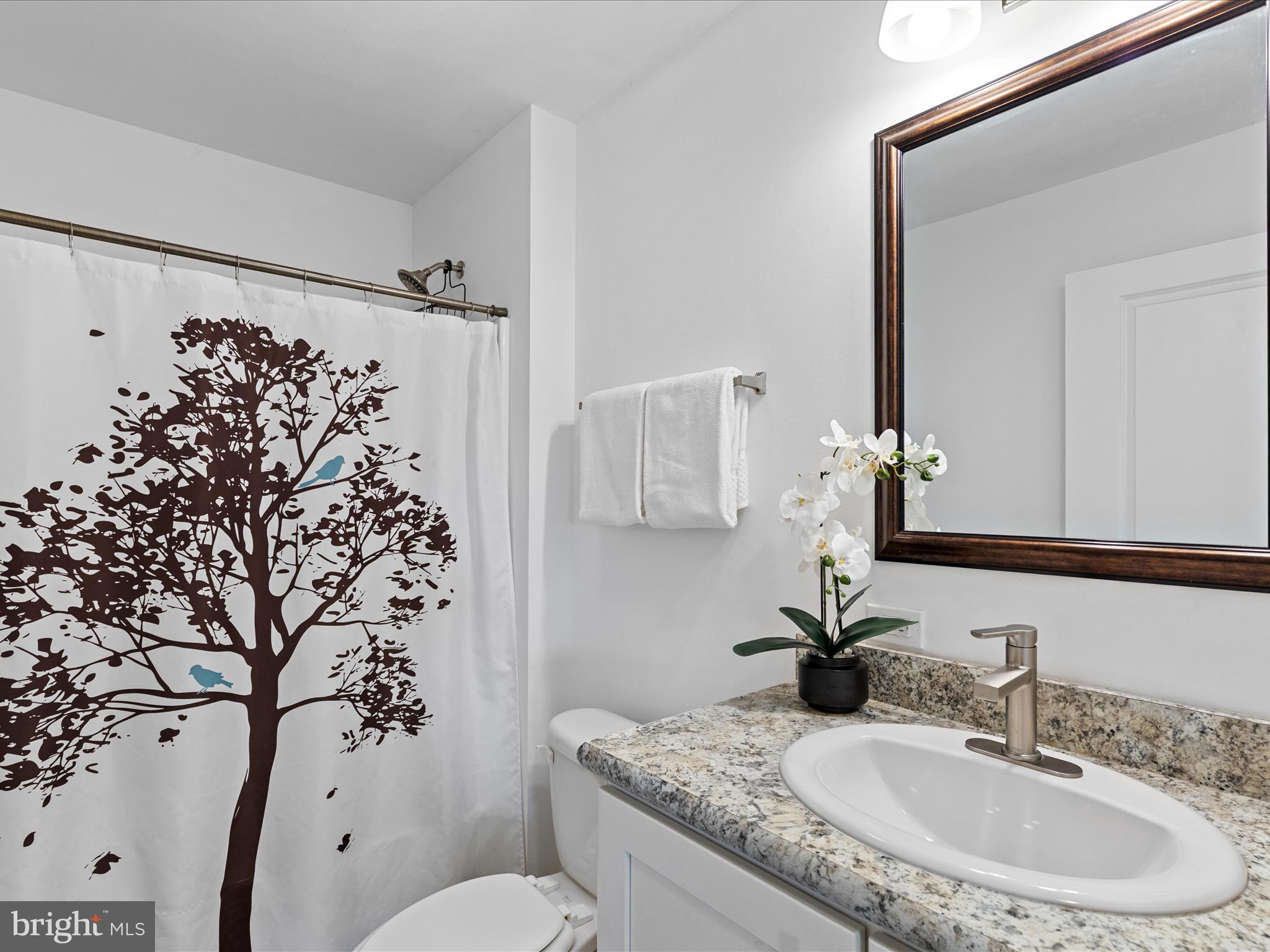 28600 Fire Tower Road Laurel, DE 19956 - Photo 31 of 57 Hall Bathroom