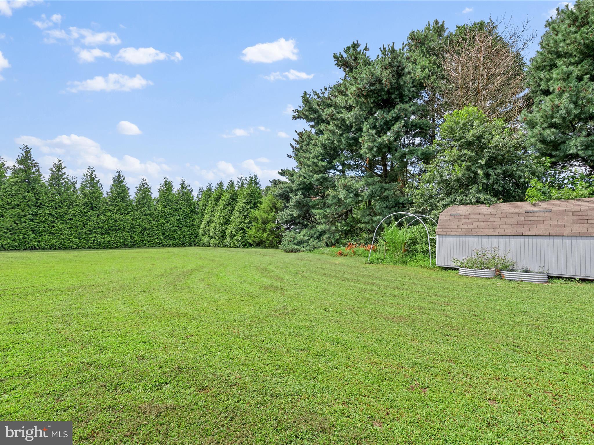 28600 Fire Tower Road Laurel, DE 19956 - Photo 51 of 57 Rear Yard