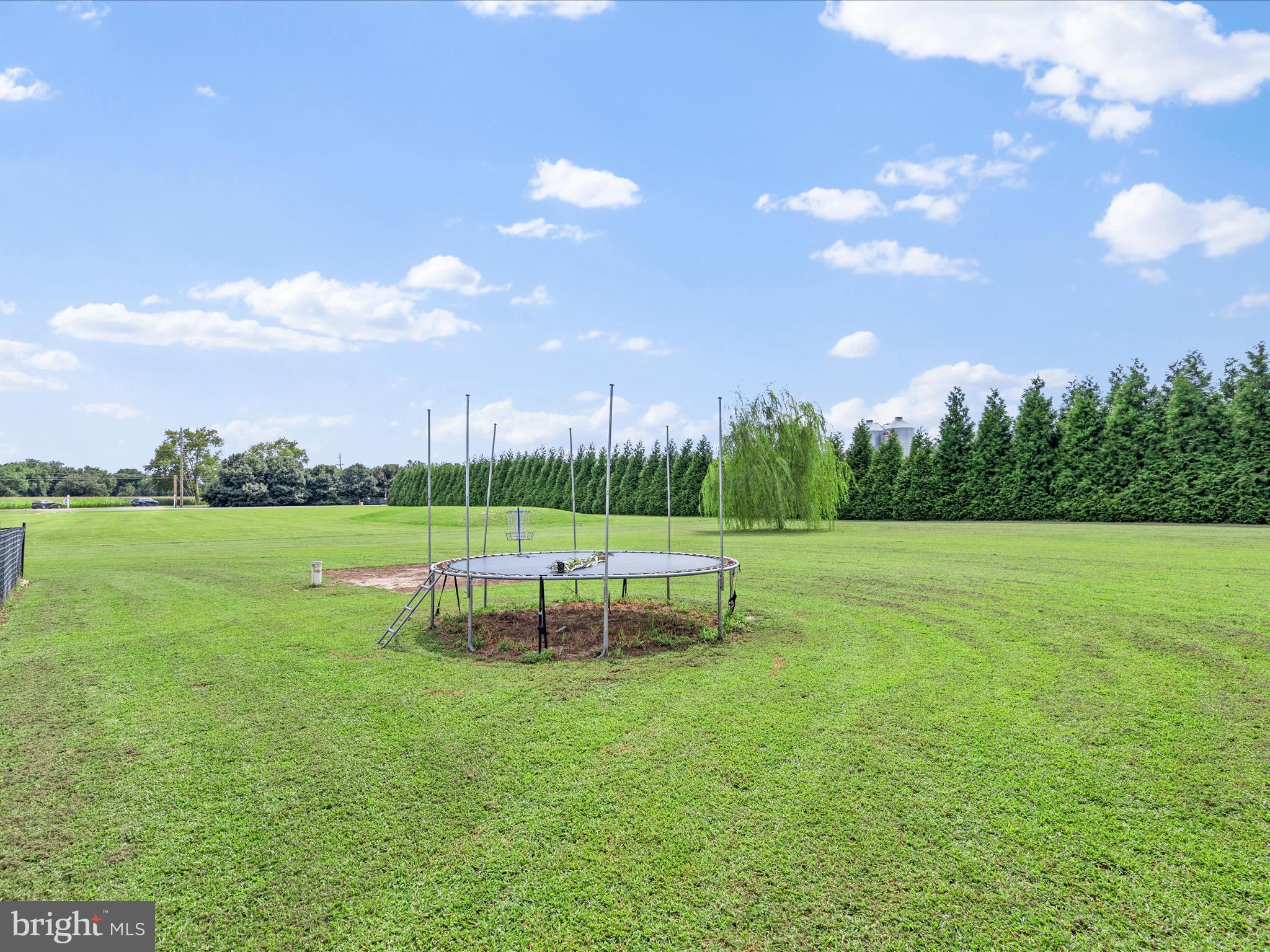 28600 Fire Tower Road Laurel, DE 19956 - Photo 52 of 57 Rear Yard