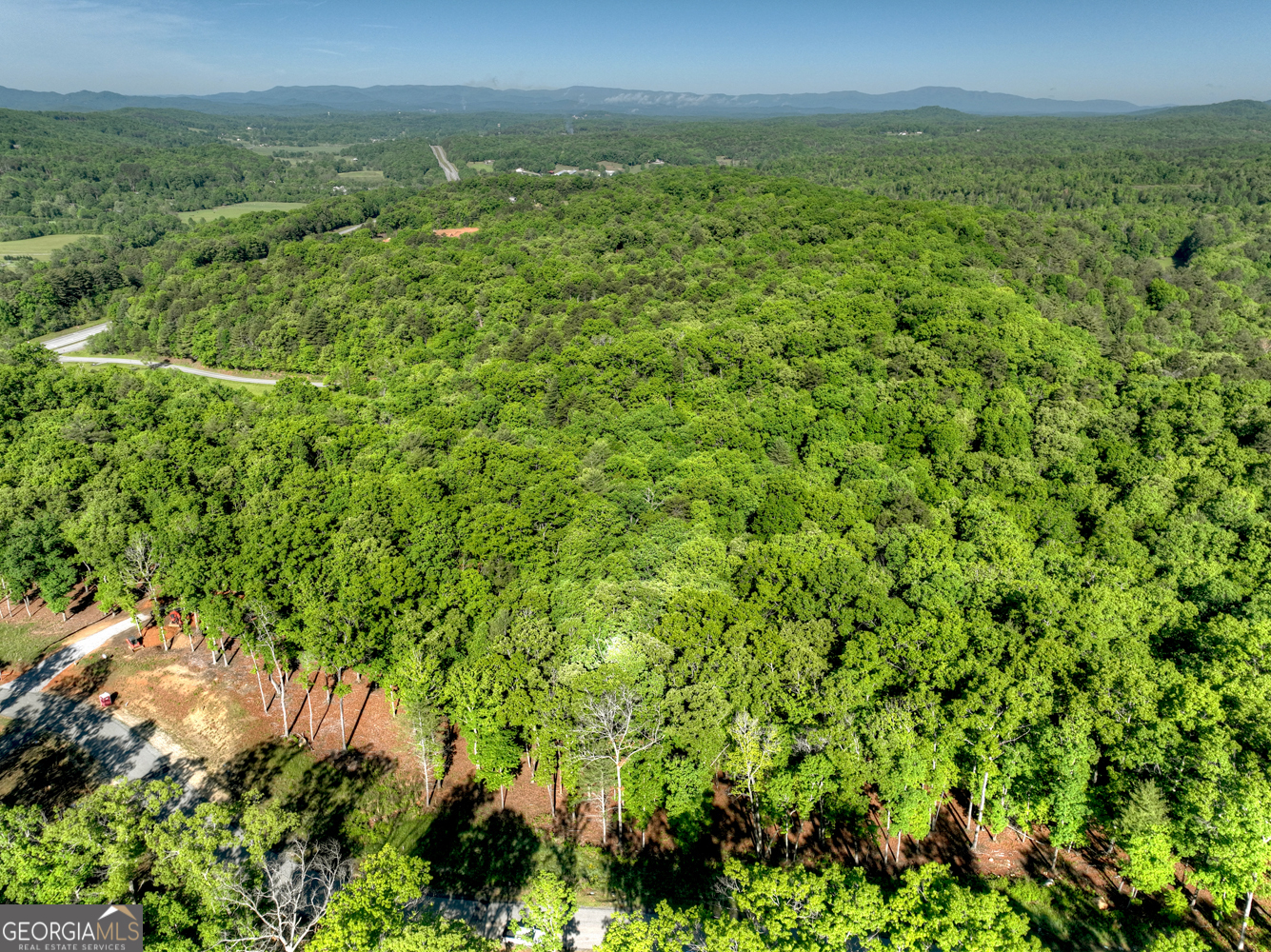 Lot 41 Ridge Drive Morganton, GA 30560 - Photo 13 of 34