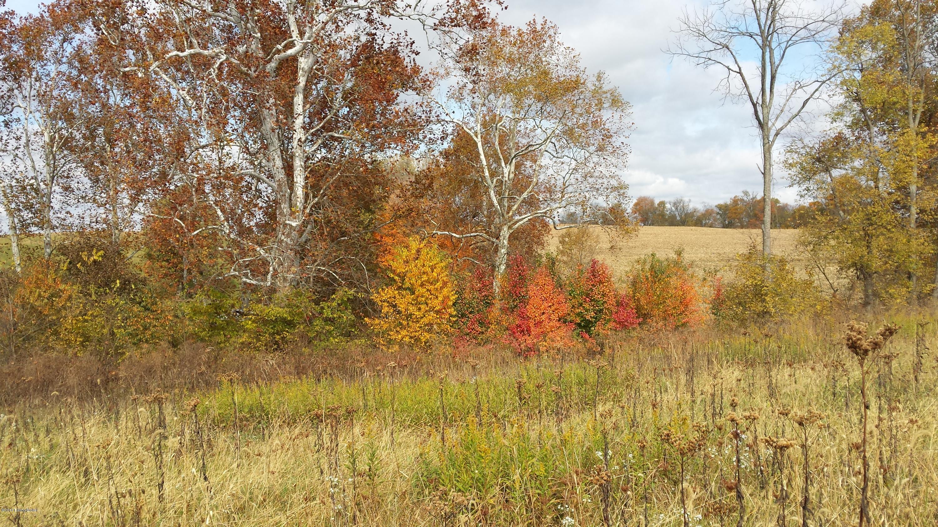 1167 Harley-Thompson Road Bagdad, KY 40003 - Photo 21 of 21 fall colors photo