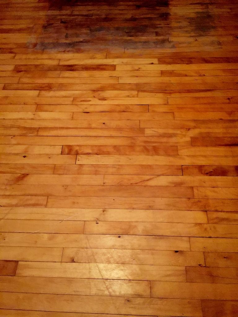2844 West 10 Mile Road Dafter, MI 49724 - Photo 4 of 22 Gallery Image 4