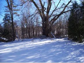 3363-67 St George Road Williston, VT 05495 - Photo 5 of 5