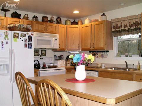 15279 Dickerson Drive Fenton, MI 48430 - Photo 5 of 17 20353287-4.JPG