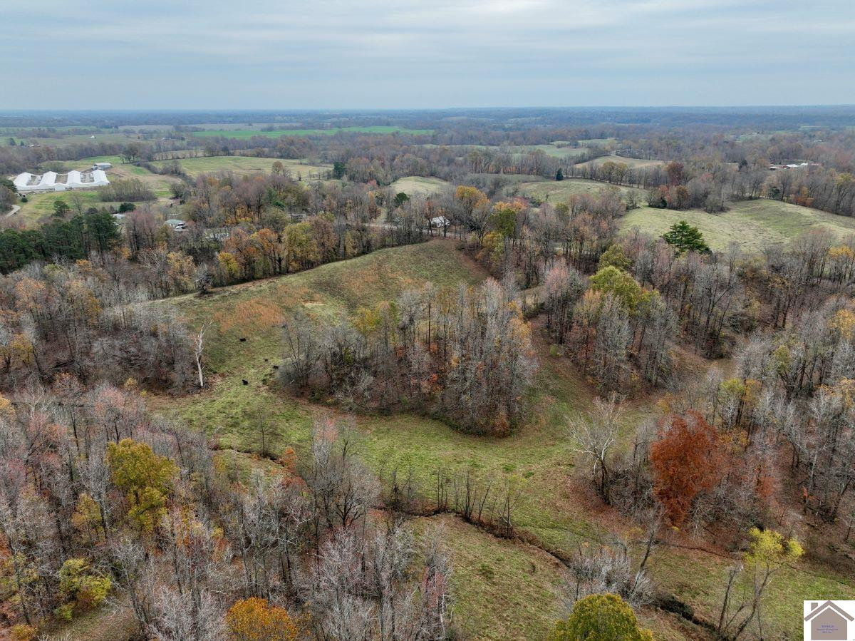 0 Beech Grove Road Hickman, KY 42050 - Photo 20 of 35 Photo 20