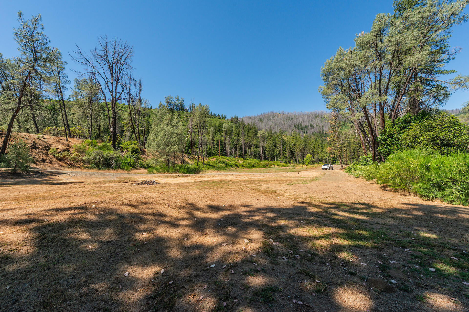 901 Dutch Creek Road Junction City, CA 96048 - Photo 21 of 70