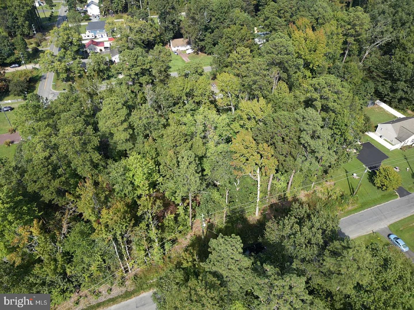 a view of a house with a lush green forest