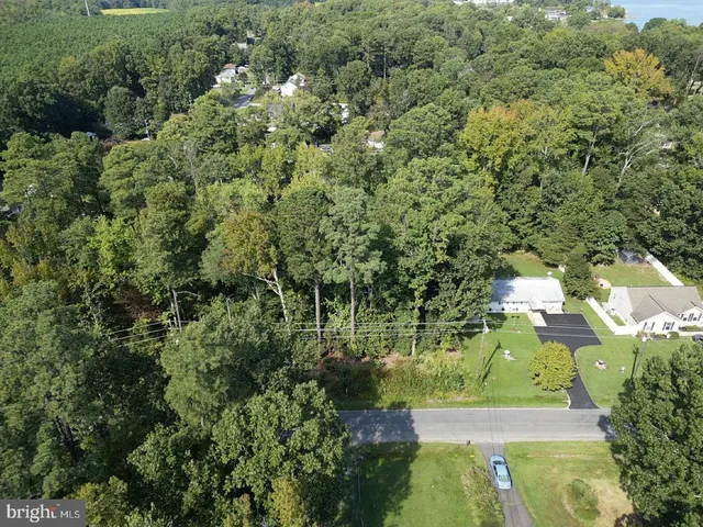 a view of a trees with a yard