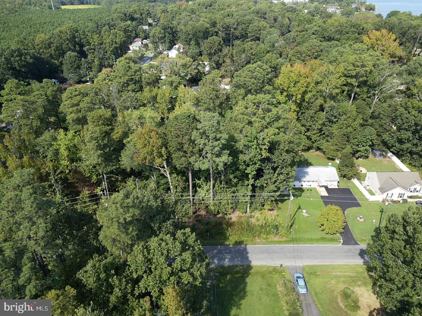 Monroe Drive Colonial Beach, VA 22443 - Photo 3 of 4 an aerial view of a residential houses with yard