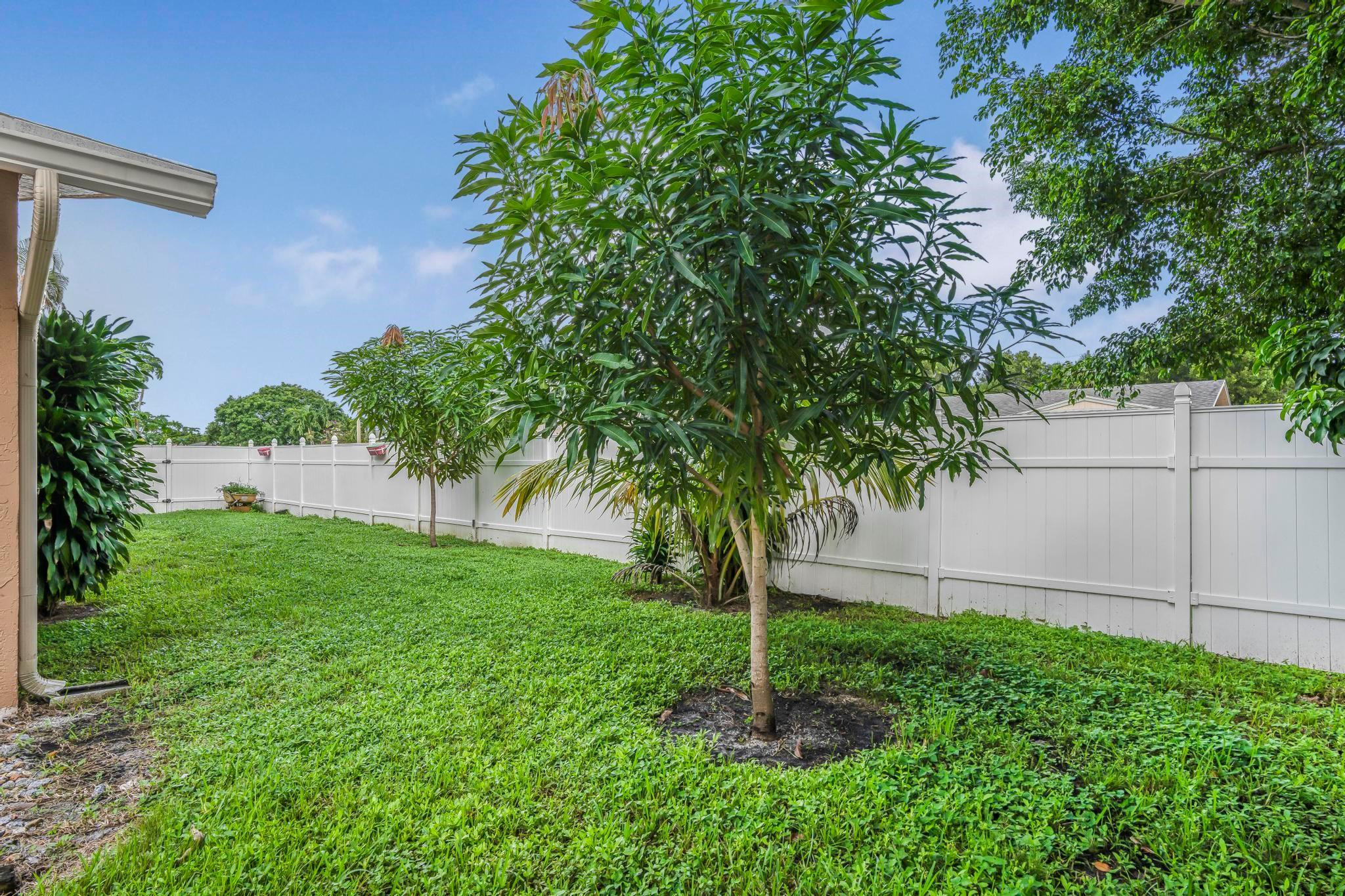 3374 Northwest 27th Terrace Boca Raton, FL 33434 - Photo 31 of 33 a backyard of a house with lots of green space