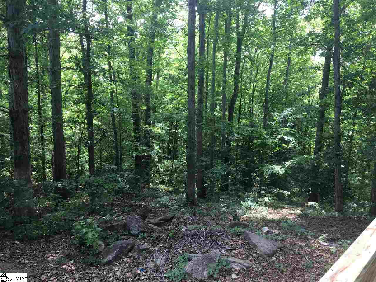 15 Cedar Summit Way Fountain Inn, SC 29644 - Photo 18 of 19