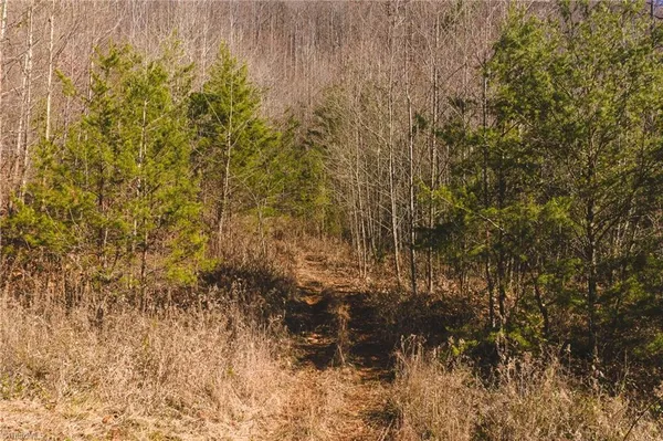 $279,000 | 1535 10 Acre Rock Court, Taylorsville, NC 28681