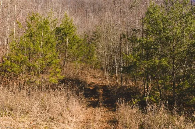 $279,000 | 1535 10 Acre Rock Court, Taylorsville, NC 28681