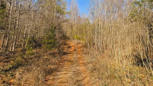 $279,000 | 1535 10 Acre Rock Court, Taylorsville, NC 28681