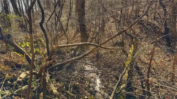 $279,000 | 1535 10 Acre Rock Court, Taylorsville, NC 28681