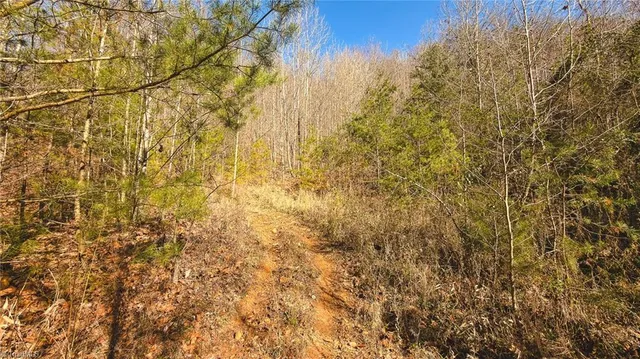 $279,000 | 1535 10 Acre Rock Court, Taylorsville, NC 28681