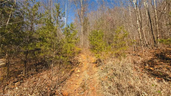 $279,000 | 1535 10 Acre Rock Court, Taylorsville, NC 28681